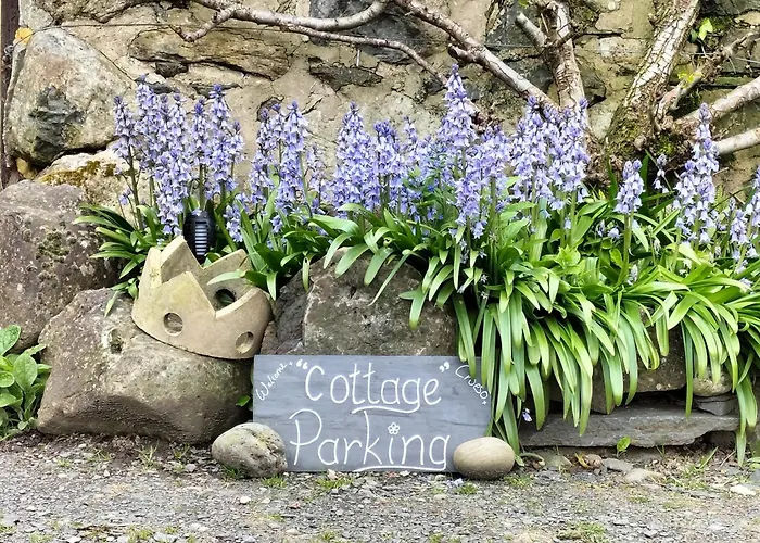 Glan Y Morfa Bach The Stone Cottage
