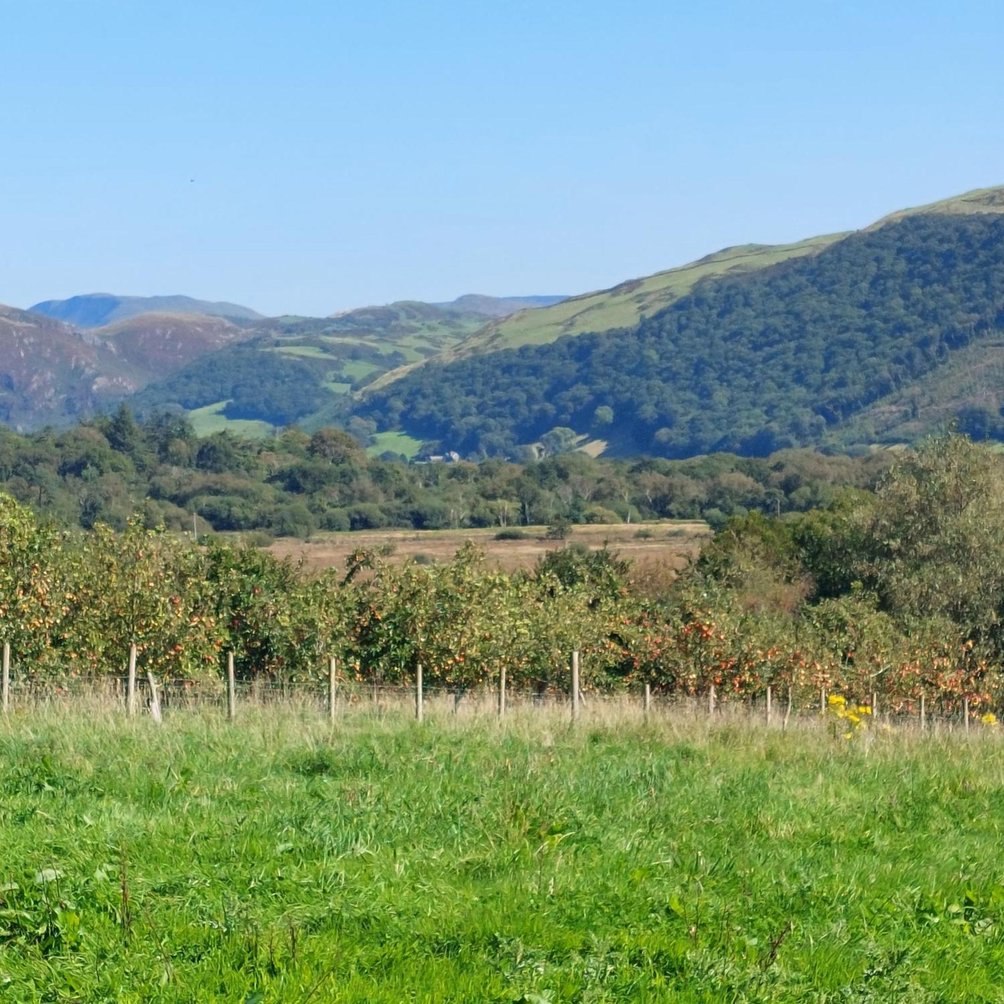 Holiday home Glan Y Morfa Bach The Stone